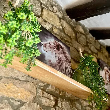 Nel I * Santillana del Mar