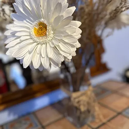 Nel I Santillana del Mar