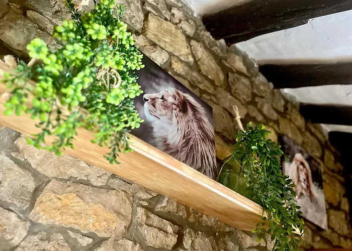 Nel I * Santillana del Mar