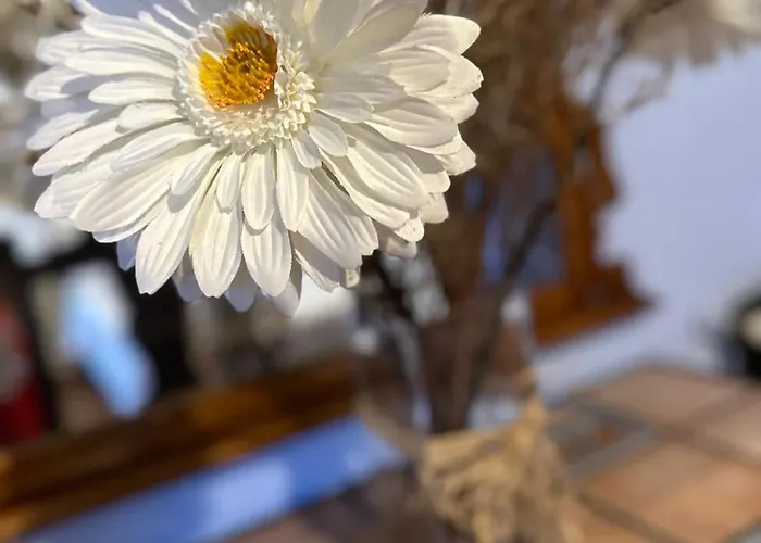 Nel I Santillana del Mar