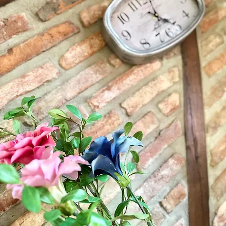 Apartament Nel I Santillana del Mar